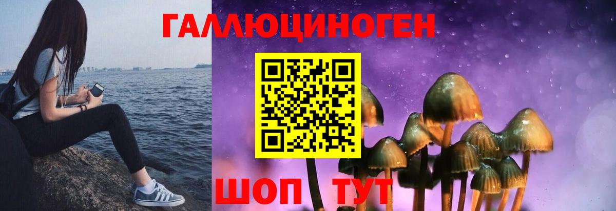 Псилоцибиновые грибы прущие грибы Казань